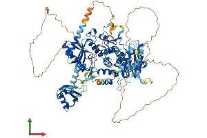 AlphaFold protein structure predicition of Mouse Recombinant Tut1 Protein, UniprotID Q8R3F9