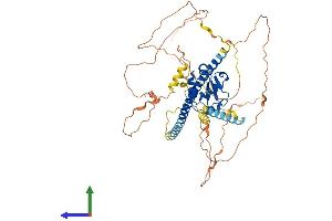 AlphaFold protein structure predicition of Mouse Recombinant Hsf1 Protein, UniprotID P38532