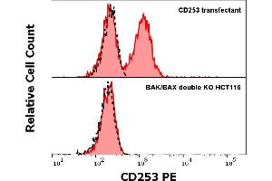 Flow Cytometry (FACS) image for anti-Tumor Necrosis Factor (Ligand) Superfamily, Member 10 (TNFSF10) (AA 95-281) antibody (PE) (ABIN1690743)