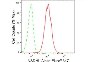 Flow cytometric analysis of NSDHL expression in HeLa cells using NSDHL antibody (ABIN7799538), 1:2,000). (Recombinant NSDHL 抗体)
