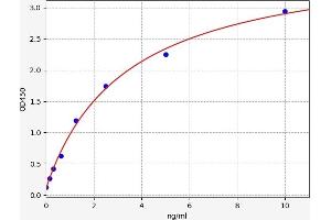 Typical standard curve (DLD ELISA 试剂盒)