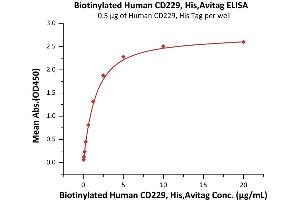 Immobilized Human CD229, His Tag (ABIN6253192,ABIN6253525) at 5 μg/mL (100 μL/well) can bind Biotinylated Human CD229, His,Avitag (ABIN6972974) with a linear range of 0. (LY9 Protein (AA 48-454) (His tag,AVI tag,Biotin))
