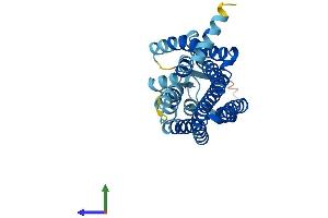 Protein Structure (PS) image for Olfactory Receptor, Family 1, Subfamily A, Member 1 (OR1A1) (AA 1-309) protein (His tag) (ABIN7550446)