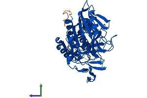Protein Structure (PS) image for Acyl-CoA Thioesterase 4 (ACOT4) (AA 1-421) protein (His tag) (ABIN7558966)