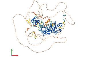 Protein Structure (PS) image for Lipin 3 (LPIN3) (AA 1-848) protein (His tag) (ABIN7564922)