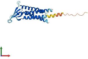 Protein Structure (PS) image for Claudin 11 (CLDN11) (AA 1-207) protein (His tag) (ABIN7557608)