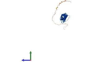 Protein Structure (PS) image for Tektin 3 (TEKT3) (AA 1-490) protein (His tag) (ABIN7558128)