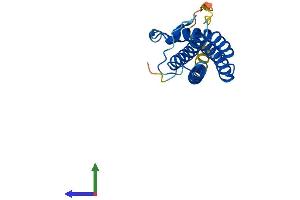 AlphaFold protein structure predicition of Human Recombinant CTF1 Protein, UniprotID Q16619