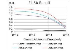 Black line: Control Antigen (100 ng), Purple line: Antigen(10 ng), Blue line: Antigen (50 ng), Red line: Antigen (100 ng), (CD93 抗体  (AA 474-535))