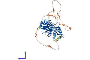 Protein Structure (PS) image for Protein Kinase, AMP-Activated, gamma 3 Non-Catalytic Subunit (PRKAG3) (AA 1-489) protein (His tag) (ABIN7564340)