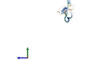 Protein Structure (PS) image for RUN and FYVE Domain Containing 1 (RUFY1) (AA 1-708) protein (His tag) (ABIN7551634)