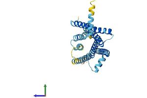 AlphaFold protein structure predicition of Human Recombinant TAS2R8 Protein, UniprotID Q9NYW2