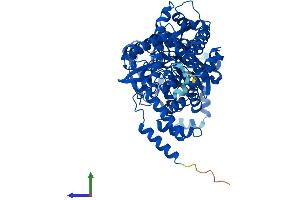 Protein Structure (PS) image for NAD Synthetase 1 (NADSYN1) (AA 1-706) protein (His tag) (ABIN7549644)