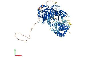 Protein Structure (PS) image for Acyl-CoA Synthetase Bubblegum Family Member 1 (ACSBG1) (AA 1-724) protein (His tag) (ABIN7551852)