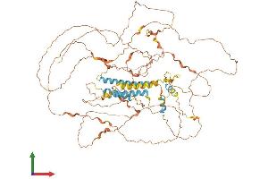 Protein Structure (PS) image for Trophinin Associated Protein (TROAP) (AA 1-778) protein (His tag) (ABIN7544727)