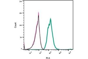Direct flow cytometry of α-Bungarotoxin in live intact rat  cells. (alpha-Bungarotoxin protein (Atto 590))