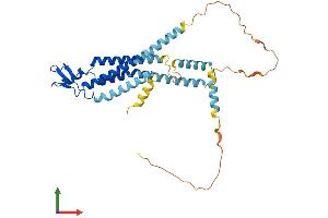 Protein Structure (PS) image for Gap Junction Protein, alpha 4, 37kDa (GJA4) (AA 1-333) protein (His tag) (ABIN7563043)