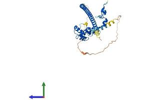 Protein Structure (PS) image for Family with Sequence Similarity 76, Member A (FAM76A) (AA 1-307) protein (His tag) (ABIN7547618)