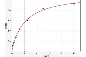 Typical standard curve (SOX18 ELISA 试剂盒)