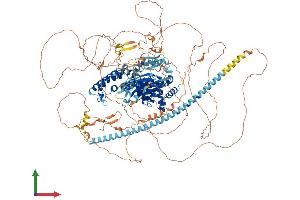 AlphaFold protein structure predicition of Human Recombinant SYNGAP1 Protein, UniprotID Q96PV0