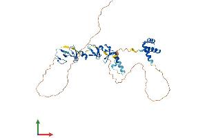 Protein Structure (PS) image for LIM Homeobox 6 (LHX6) (AA 1-363) protein (His tag) (ABIN7549086)