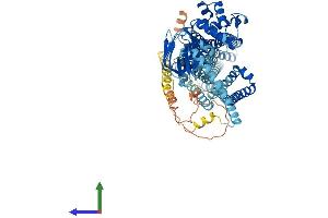 AlphaFold protein structure predicition of Human Recombinant ABCD2 Protein, UniprotID Q9UBJ2