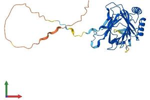Protein Structure (PS) image for AlkB, Alkylation Repair Homolog 3 (ALKBH3) (AA 1-286) protein (His tag) (ABIN7559472)