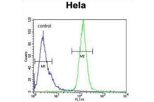 Flow Cytometry (FACS) image for anti-H2A Histone Family, Member Y2 (H2AFY2) antibody (ABIN2995804) (H2AFY2 抗体)