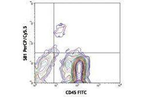 Flow Cytometry (FACS) image for anti-CD34 (CD34) antibody (PerCP-Cy5.5) (ABIN2660360) (CD34 抗体  (PerCP-Cy5.5))