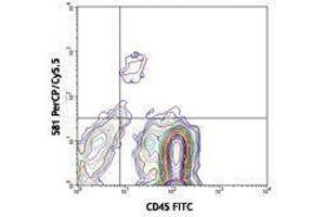 Flow Cytometry (FACS) image for anti-CD34 (CD34) antibody (PerCP-Cy5.5) (ABIN2660360) (CD34 抗体  (PerCP-Cy5.5))