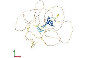 Protein Structure (PS) image for Chromobox Homolog 4 (CBX4) (AA 1-560) protein (His tag) (ABIN7553186)