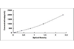 Typical standard curve (NR1D1 ELISA 试剂盒)