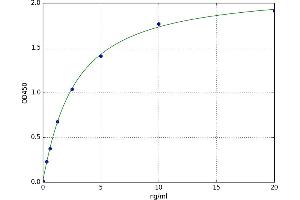 A typical standard curve (Retinoid X Receptor gamma ELISA 试剂盒)