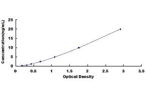 SMAD, Mothers Against DPP Homolog 1 (SMAD1) ELISA Kit