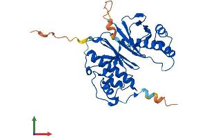 AlphaFold protein structure predicition of Mouse Recombinant Aasdhppt Protein, UniprotID Q9CQF6 (AASDHPPT Protein (AA 1-309) (His tag))