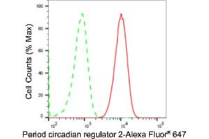 Flow cytometric analysis of Period circadian regulator 2 expression in C2C12 cells using Period circadian regulator 2 antibody (ABIN7799772), 1:2,000). (Recombinant PER2 抗体)