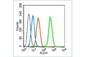 HL-60 cells probed with Insulin Receptor Beta Antibody, unconjugated  at 1:100 dilution for 30 minutes compared to control cells (blue) and isotype control (orange) (ISR-beta 抗体  (AA 1001-1100))