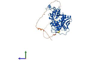 Protein Structure (PS) image for N-Myristoyltransferase 1 (NMT1) (AA 1-496) protein (His tag) (ABIN7549837)