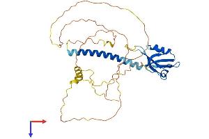 CYTIP Protein (AA 1-359) (His tag)