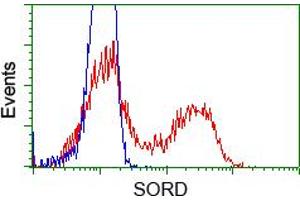 Flow cytometric analysis of Hela cells, using anti-SORD antibody (ABIN2453677), (Red) compared to a nonspecific negative control antibody (TA50011) (Blue). (SORD 抗体)