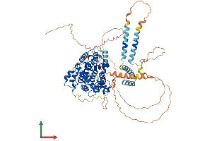Protein Structure (PS) image for phosphodiesterase 4C, CAMP-Specific (PDE4C) (AA 1-712) protein (His tag) (ABIN7550651)