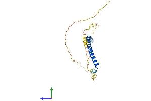 Protein Structure (PS) image for Nucleosome Assembly Protein 1-Like 5 (NAP1L5) (AA 1-182) protein (His tag) (ABIN7549951)