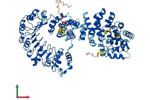 AlphaFold protein structure predicition of Human Recombinant ZYG11A Protein, UniprotID Q6WRX3