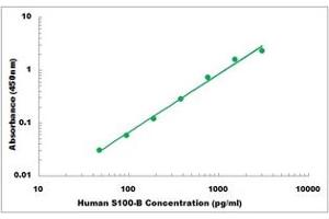 Representative Standard Curve (S100B ELISA 试剂盒)