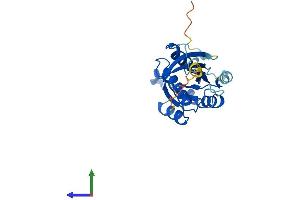 Protein Structure (PS) image for RAB4A, Member RAS Oncogene Family (RAB4A) (AA 1-218) protein (His tag) (ABIN7551157)