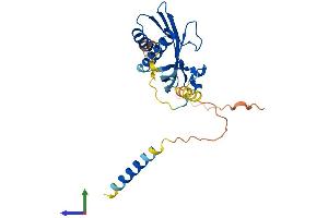 Protein Structure (PS) image for Receptor (Chemosensory) Transporter Protein 1 (RTP1) (AA 1-263) protein (His tag) (ABIN7559196)