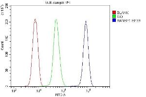 Flow Cytometry analysis of U937 cells using anti-RanBP1 antibody (ABIN5518868). (RANBP1 抗体  (AA 2-201))