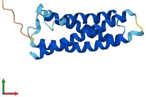 AlphaFold protein structure predicition of Human Recombinant MAL Protein, UniprotID P21145 (MAL Protein (AA 1-153) (His tag))