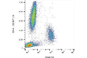 Flow cytometry analysis (surface staining) of human peripheral blood cells with anti-CD86 (BU63) PE.