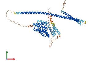 Protein Structure (PS) image for Kinesin Light Chain 3 (KLC3) (AA 1-508) protein (His tag) (ABIN7560009)